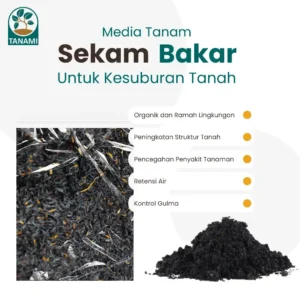 media tanam sekam bakar untuk tanaman