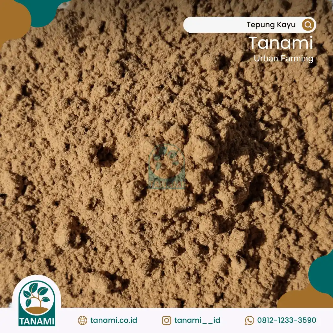Tepung Kayu / Serbuk Kayu Halus serbuk kayu halus bahan baku dupa