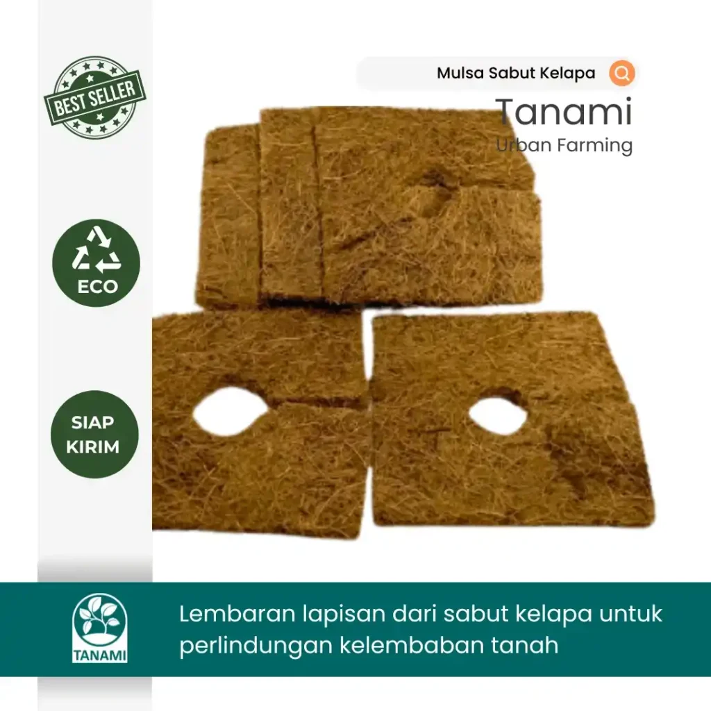 Cara membuat mulsa sabut kelapa