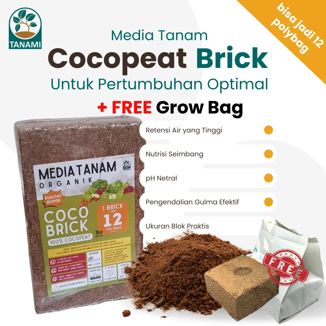 cocopeat block 1 kg