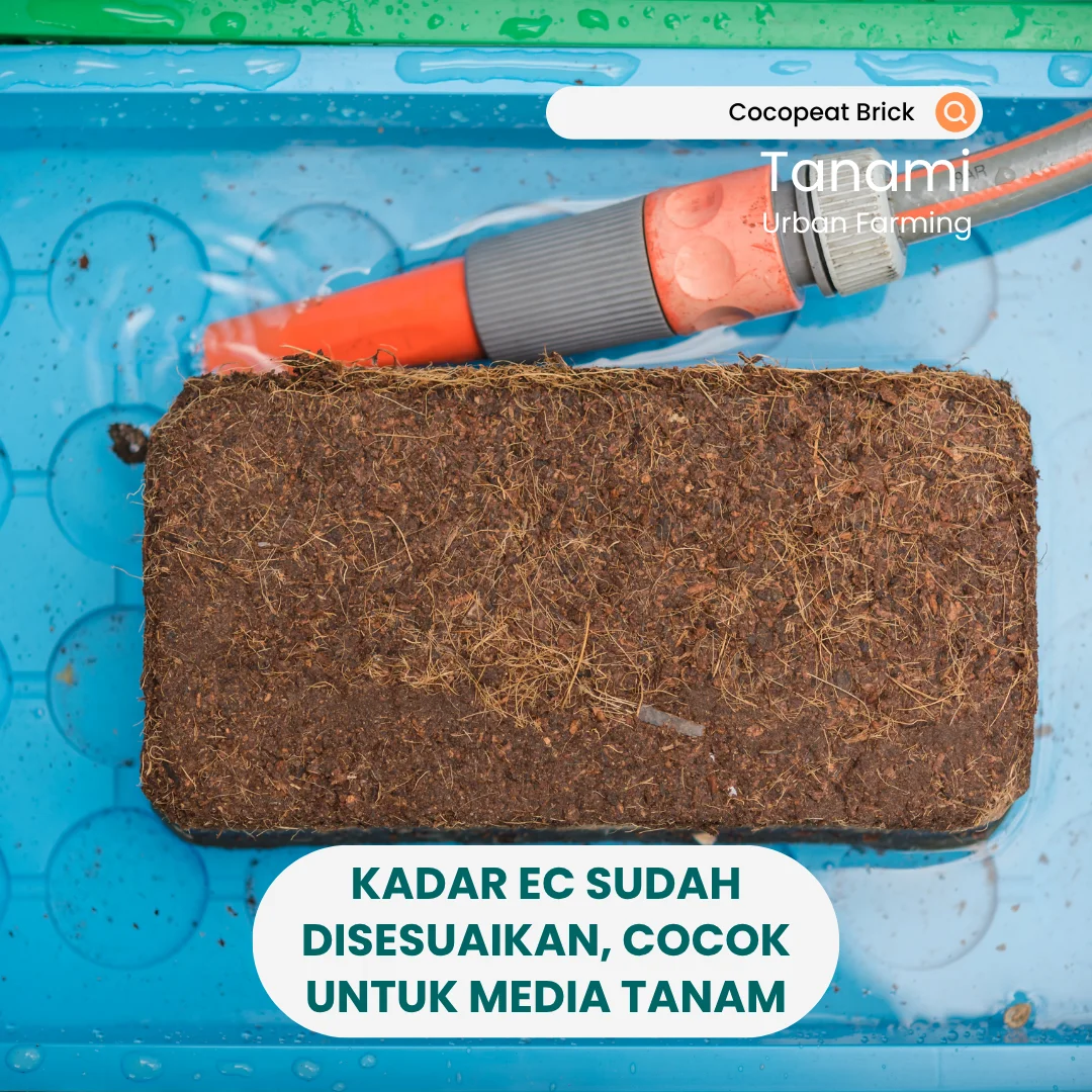 Cocopeat Block 1 kg / Cocopeat Blok Media Tanam Sabut Kelapa by Tanami Free Grow Bag - Image 3