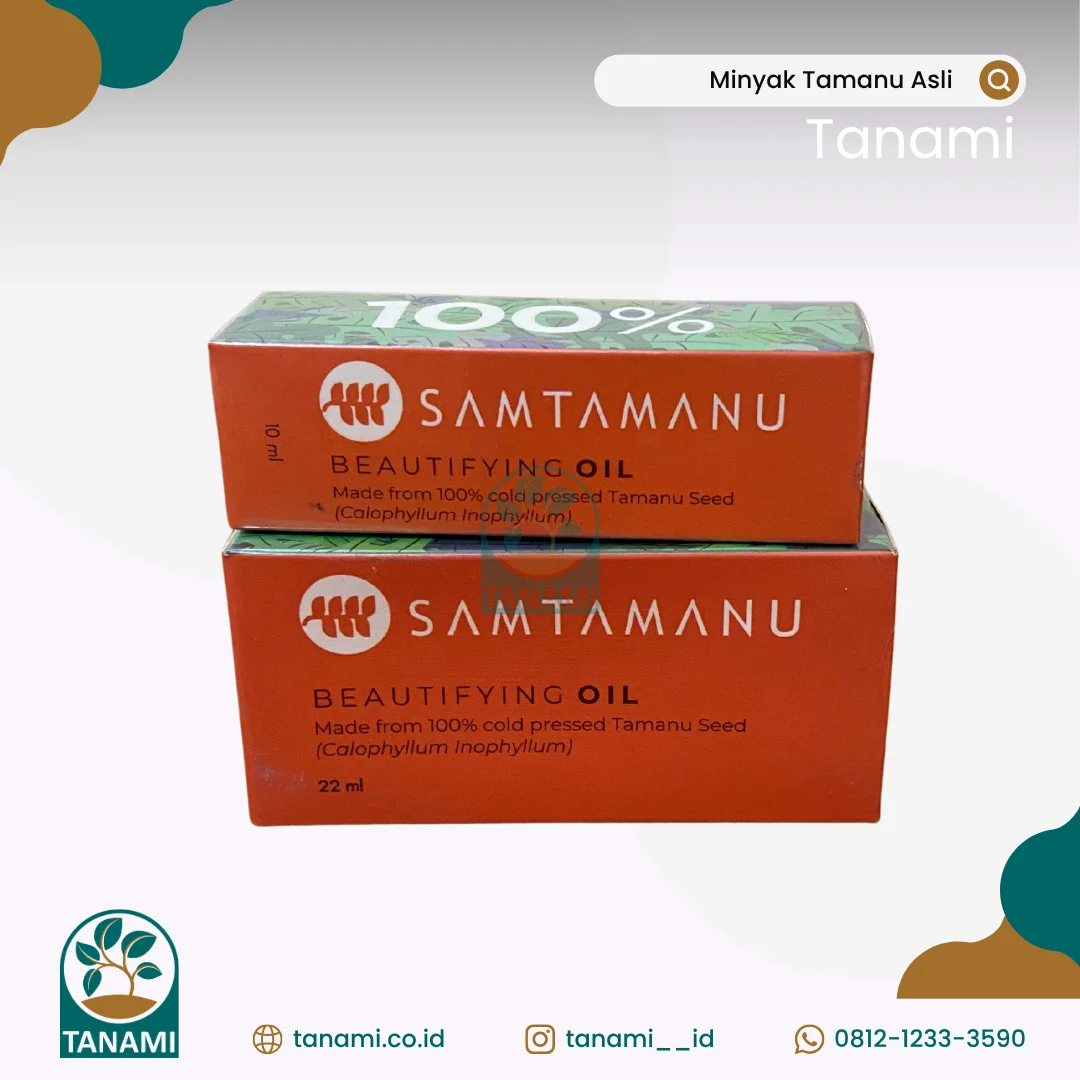 Minyak Nyamplung Minyak Nyamplung