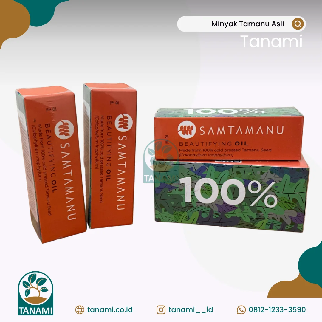 Minyak Tamanu Oil Minyak Tamanu Oil