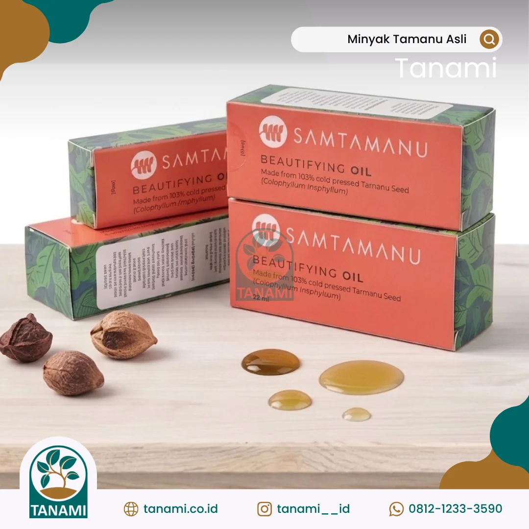 Minyak Tamanu Minyak Tamanu