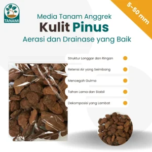Kulit Pinus Pine Bark