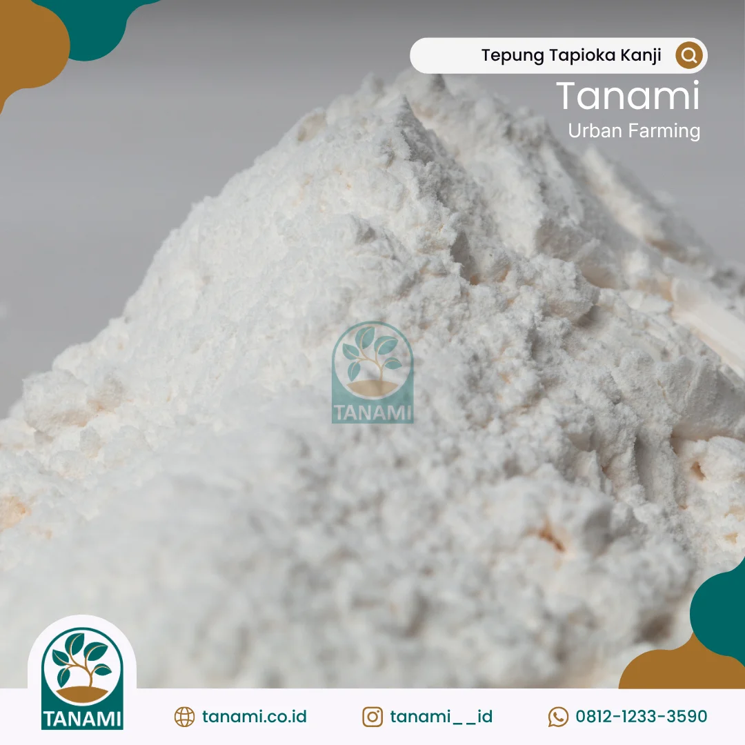 pati singkong native tapioca starch