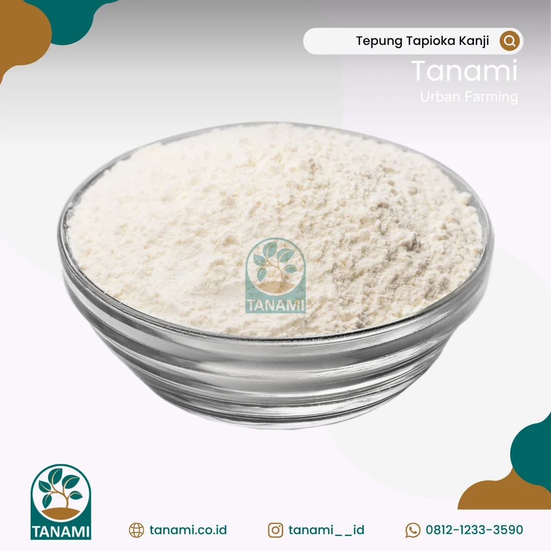 tepung pati singkong tepung kanji