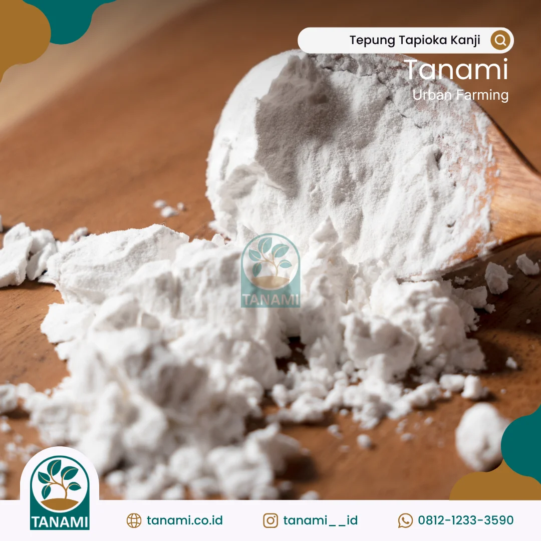 tepung tapioka kanji